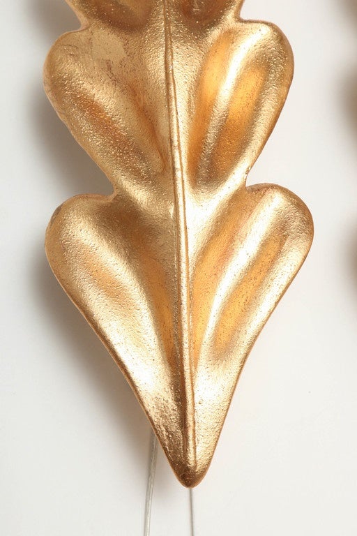 Pair of Gold Leaf Sconces 1