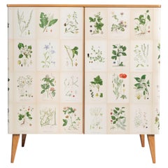Armoire en orme suédois ornée d'illustrations de la flore nordique, années 1950