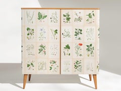 Swedish Elm Cabinet with Nordens Flora Illustrations, 1950's