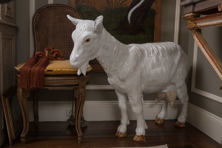 taxidermy goat standing