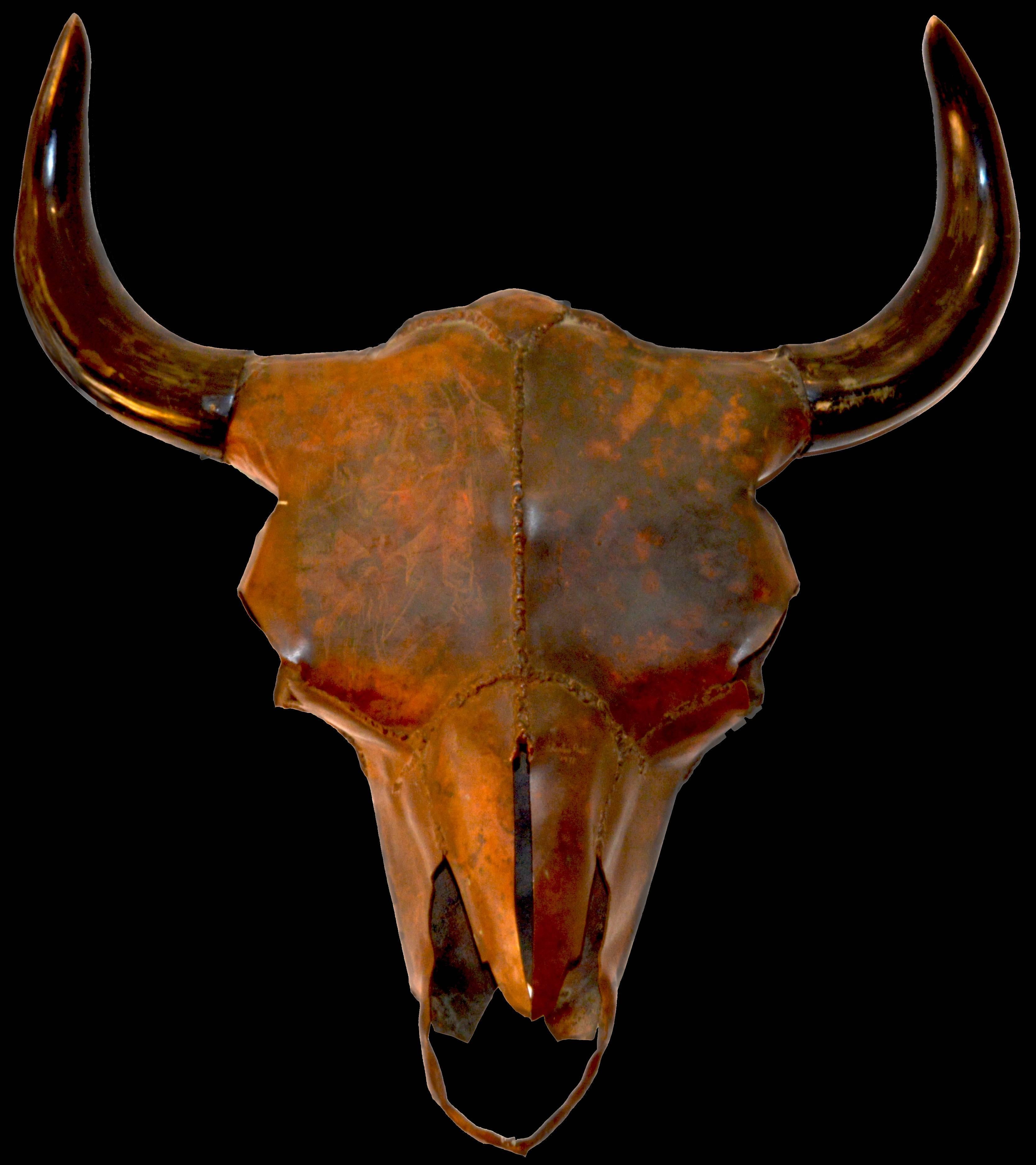 Renowned Native American artist and sculptor, Charles ‘Charlie’ Pratt, created this life size buffalo head in copper in 1977. The sculpture incorporates an etching of a Cheyenne warrior on the left side of the forehead, when the light strikes it at