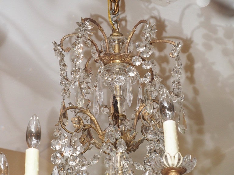 French small-scale bronze and crystal chandelier with Baccarat button crystal draping. Six arms.
