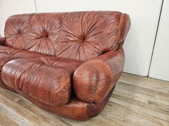 Topp Sofa by Seven Salotti in burgundy leather, 1970