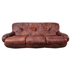 Topp Sofa by Seven Salotti in burgundy leather, 1970