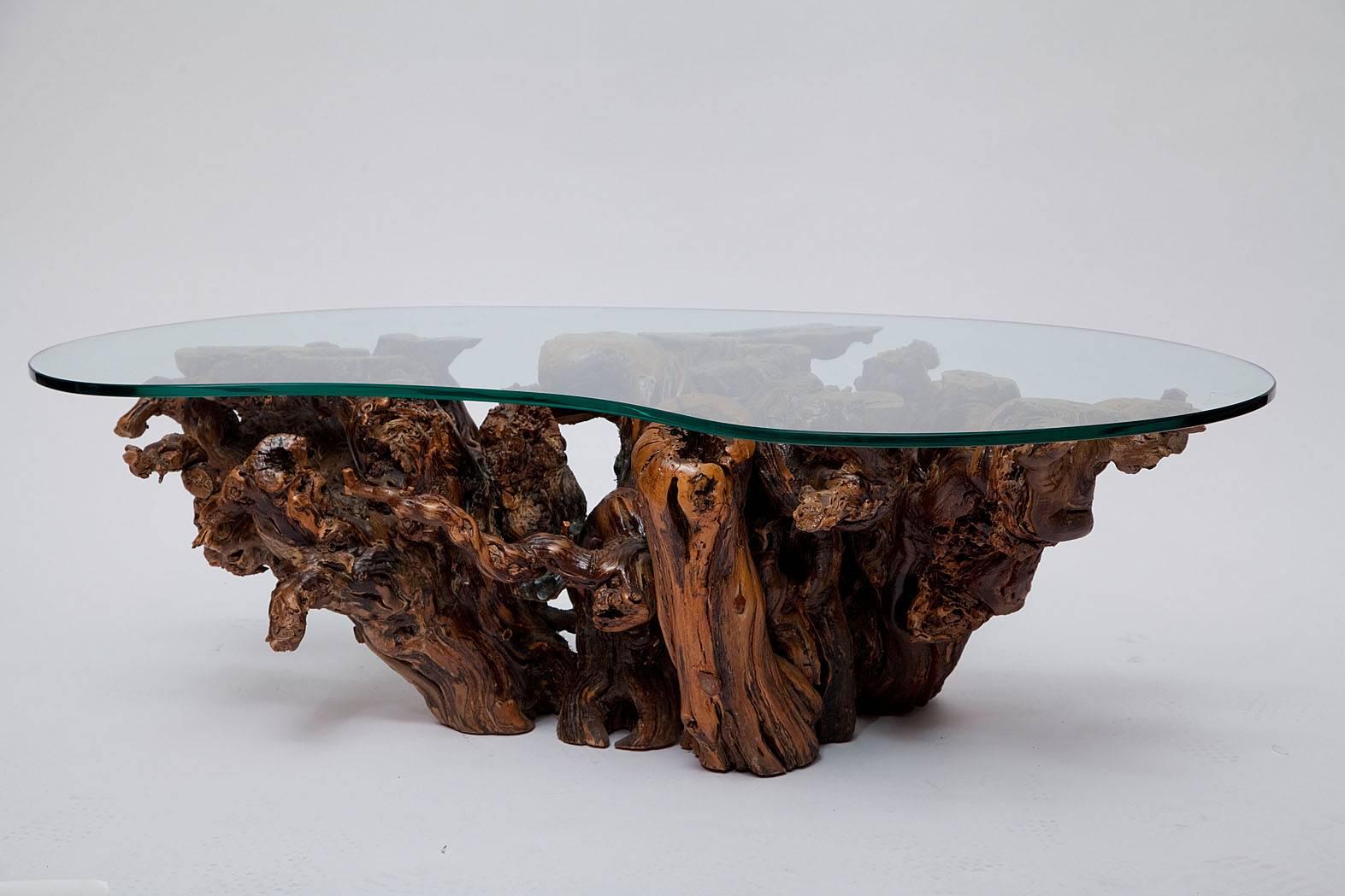 Richly colored and artfully organic American Mid-Century coffee table pieced together from natural burled wood. Half-inch 