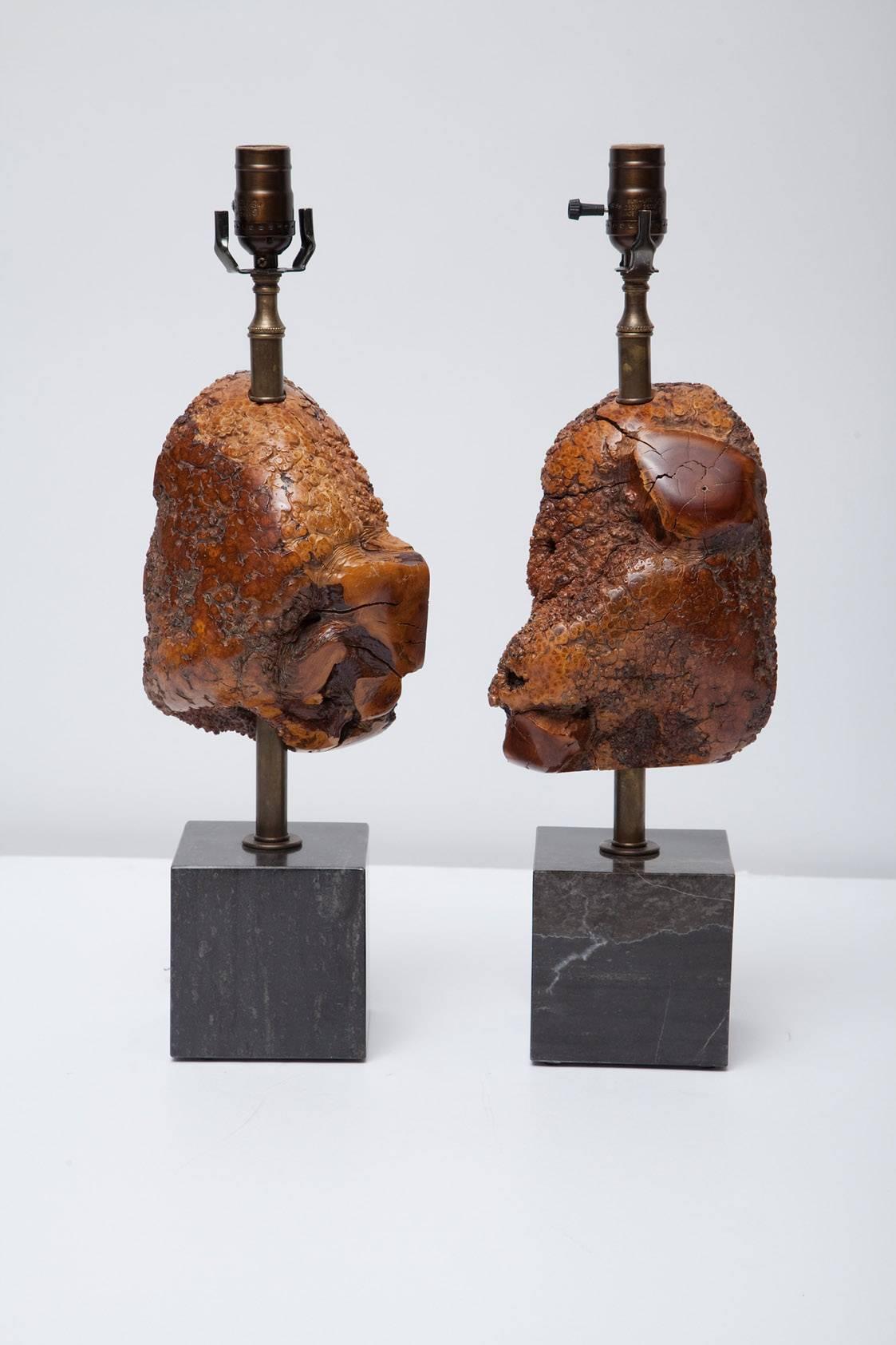 Brass Pair of Burl Wood and Marble Lamps