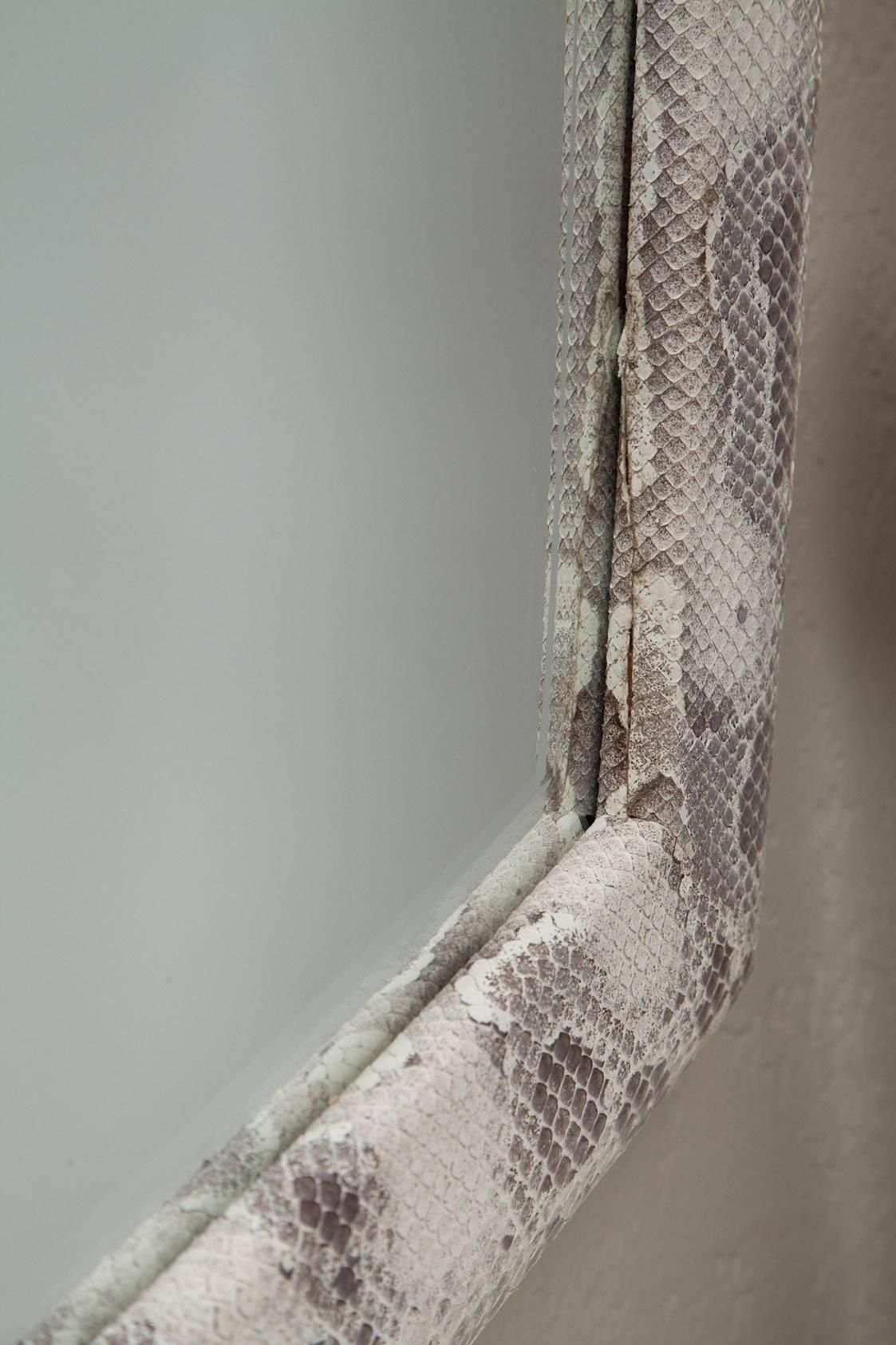 American Genuine Python Mirror