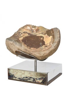Organic Modern Petrified Wood/ Fossil and Stainless Steel Mounted Sculpture