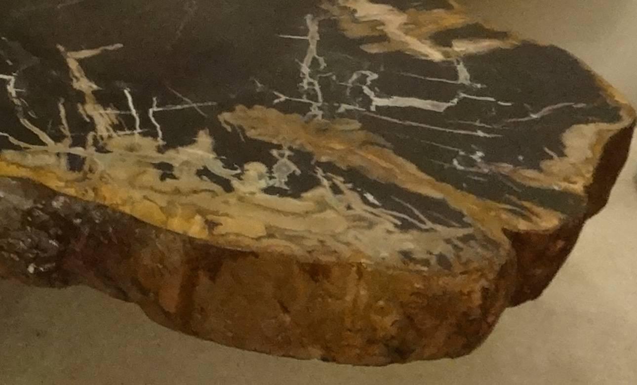 American Grand Scaled Petrified Wood Coffee or Cocktail Table in the Style of Ado Chale 