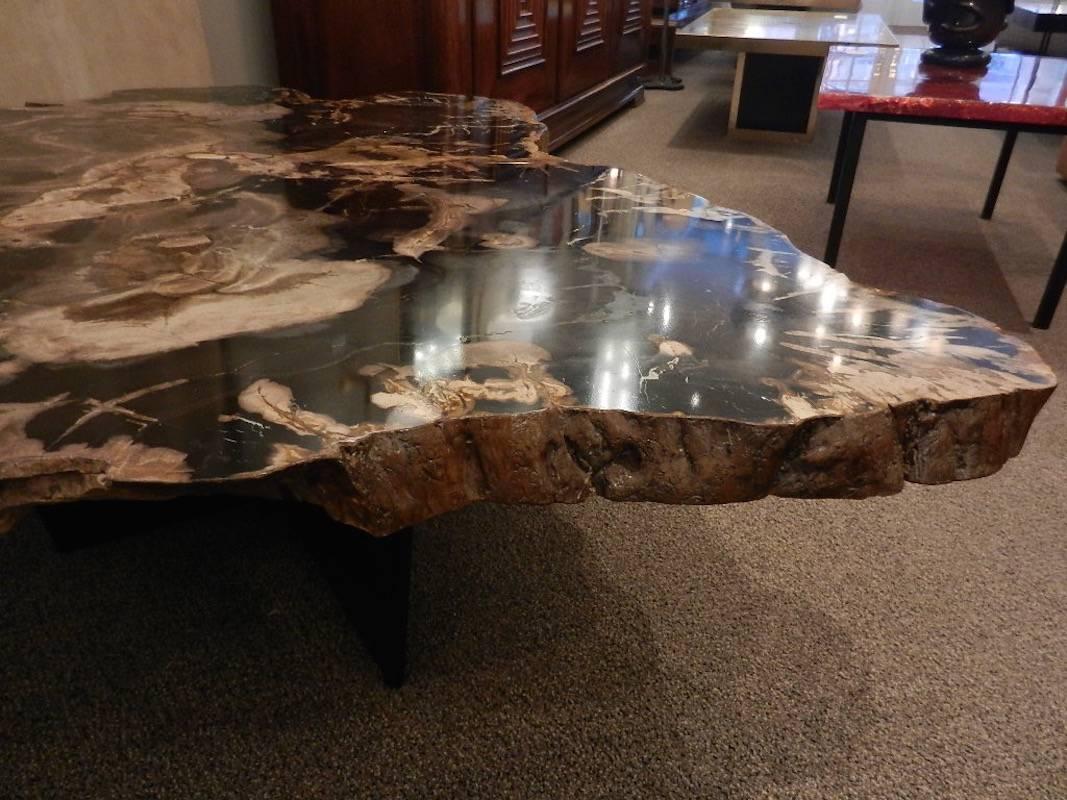 Contemporary Grand Scaled Petrified Wood Coffee or Cocktail Table in the Style of Ado Chale 