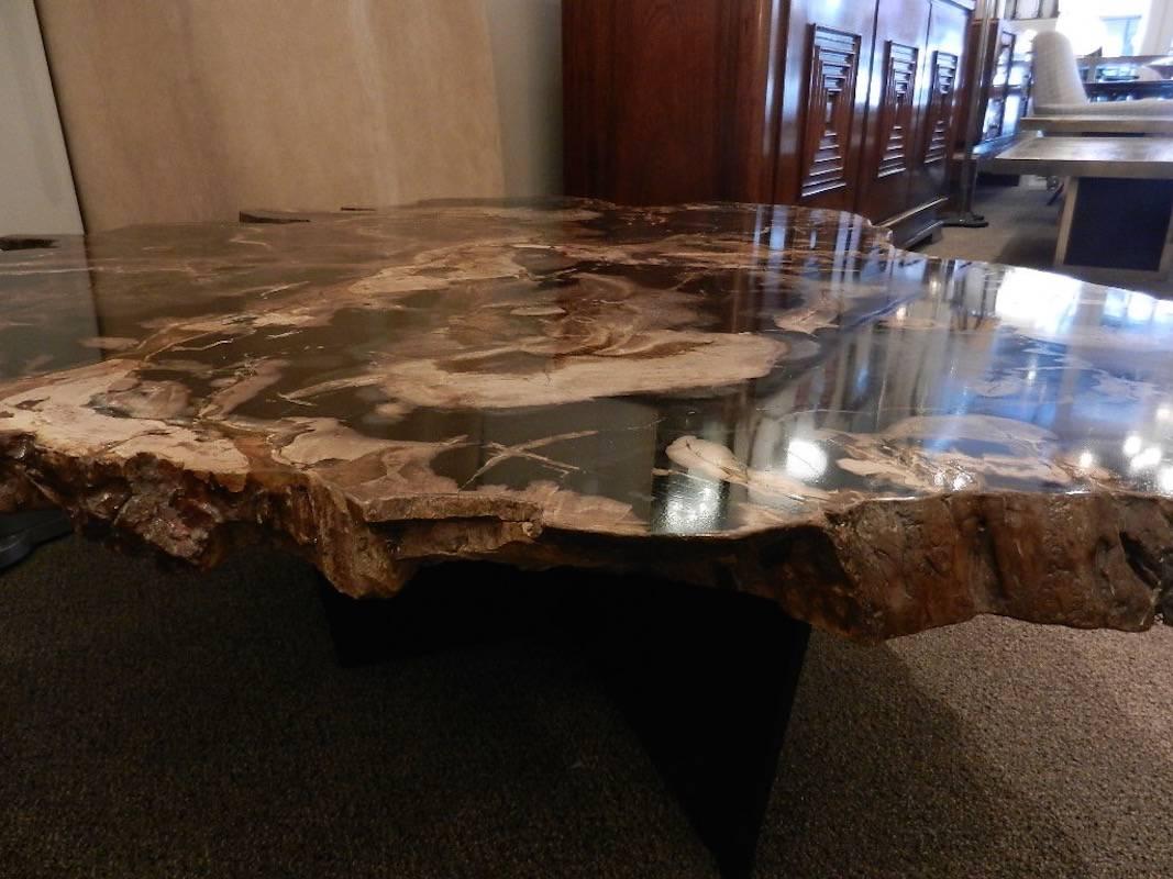 Grand Scaled Petrified Wood Coffee or Cocktail Table in the Style of Ado Chale  2