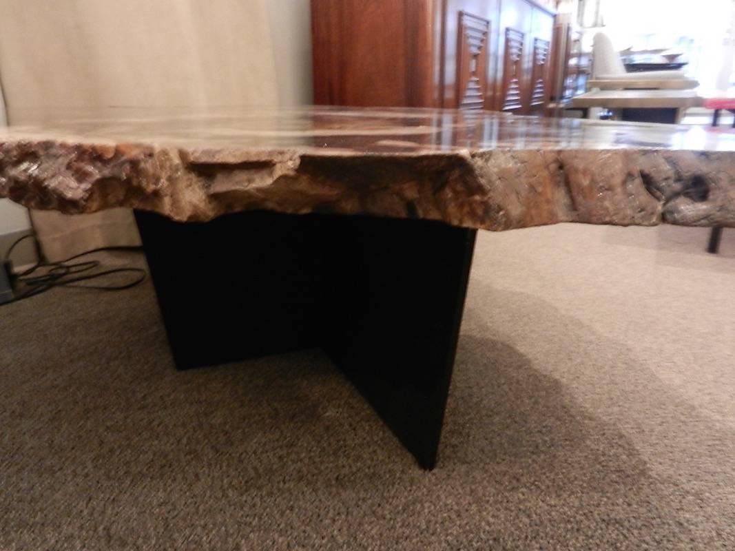 Grand Scaled Petrified Wood Coffee or Cocktail Table in the Style of Ado Chale  3