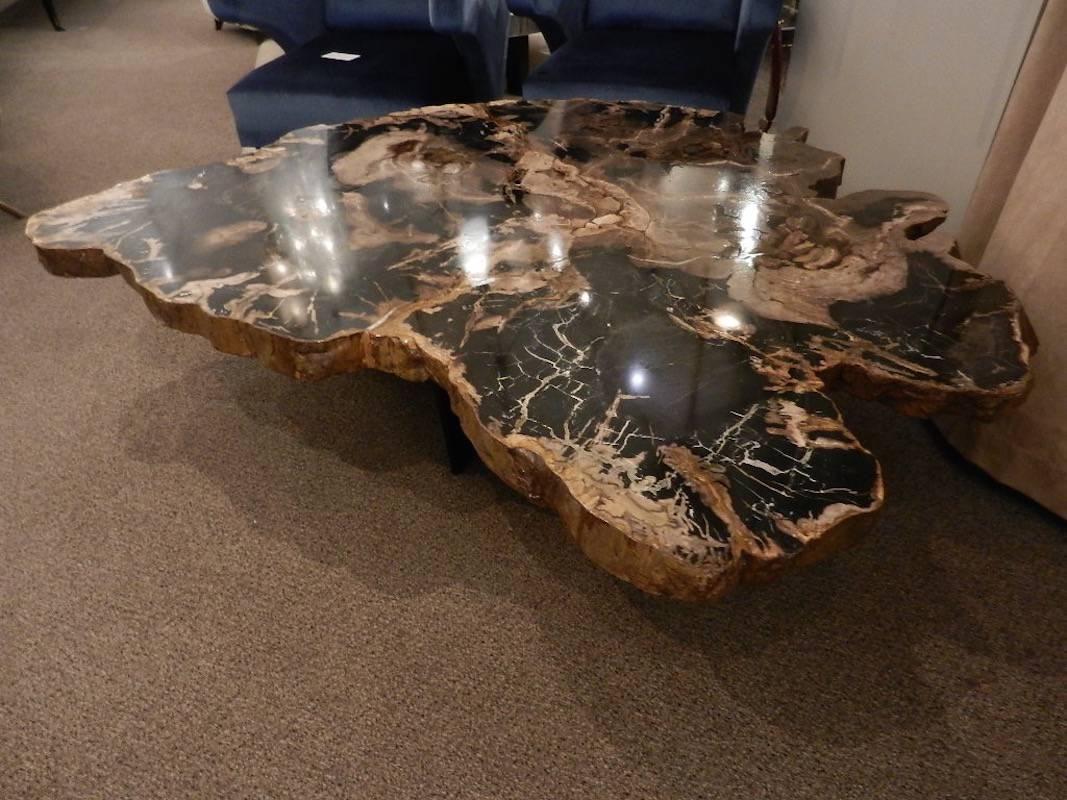 Grand Scaled Petrified Wood Coffee or Cocktail Table in the Style of Ado Chale  4