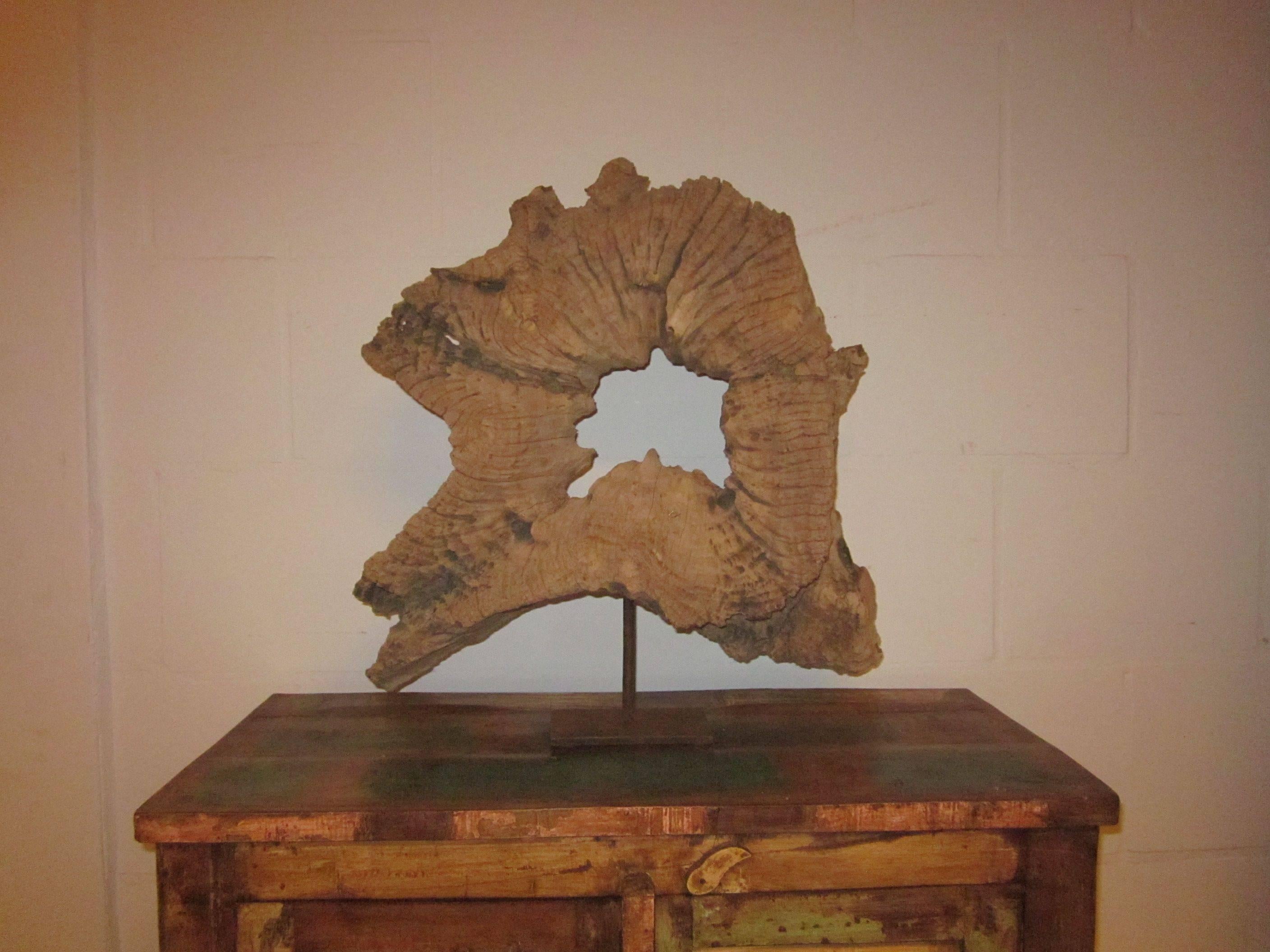 Indonesian abstract wood sculpture on a metal stand.
The wood is vintage, mounted on a contemporary stand.
   