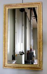 19th Century Gold Gilt Decorative Frame Rectangular Wall Mirror, France