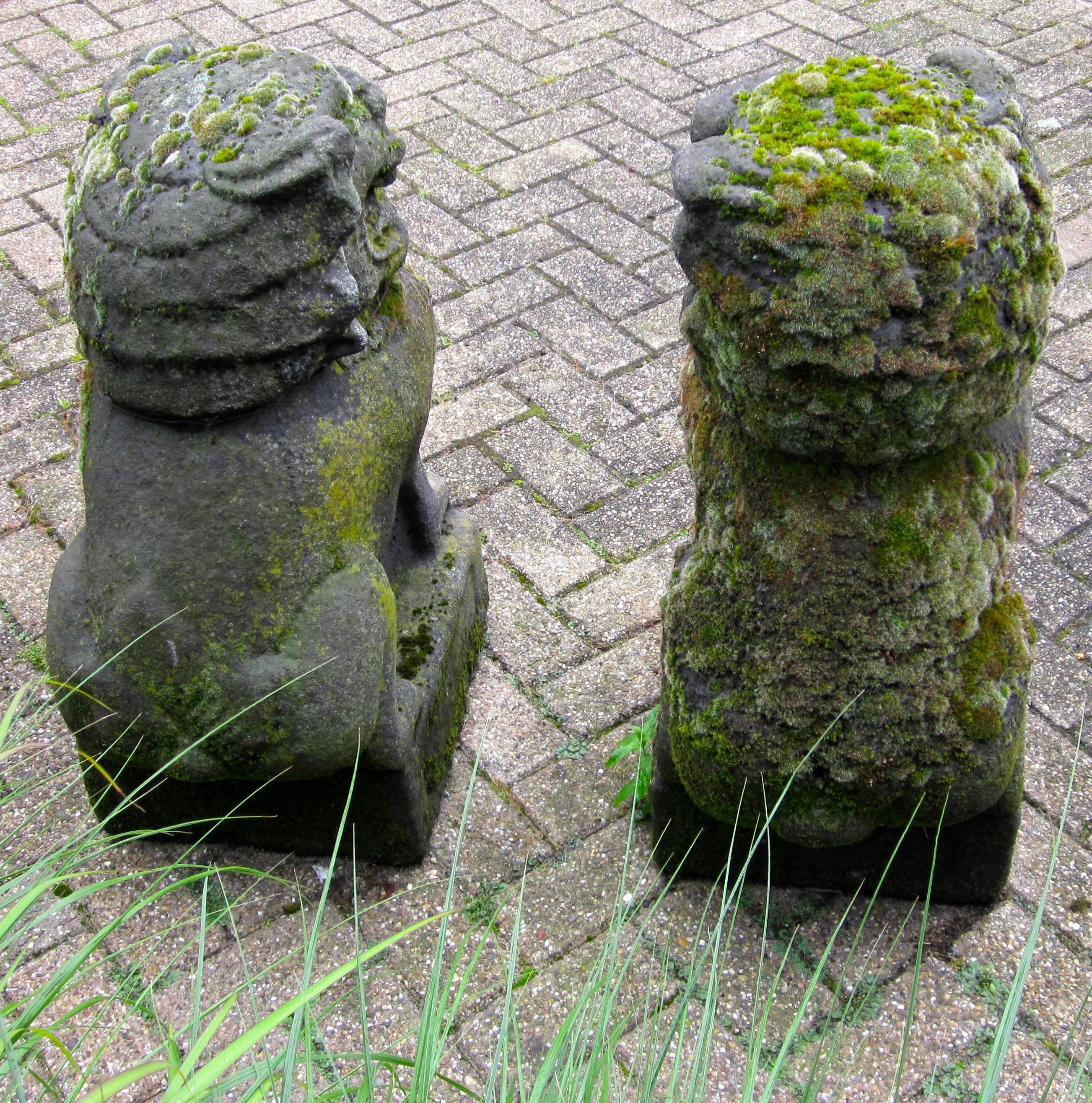 Pair of 19th Century Chinese Stone Foo Dogs In Excellent Condition In New York, NY