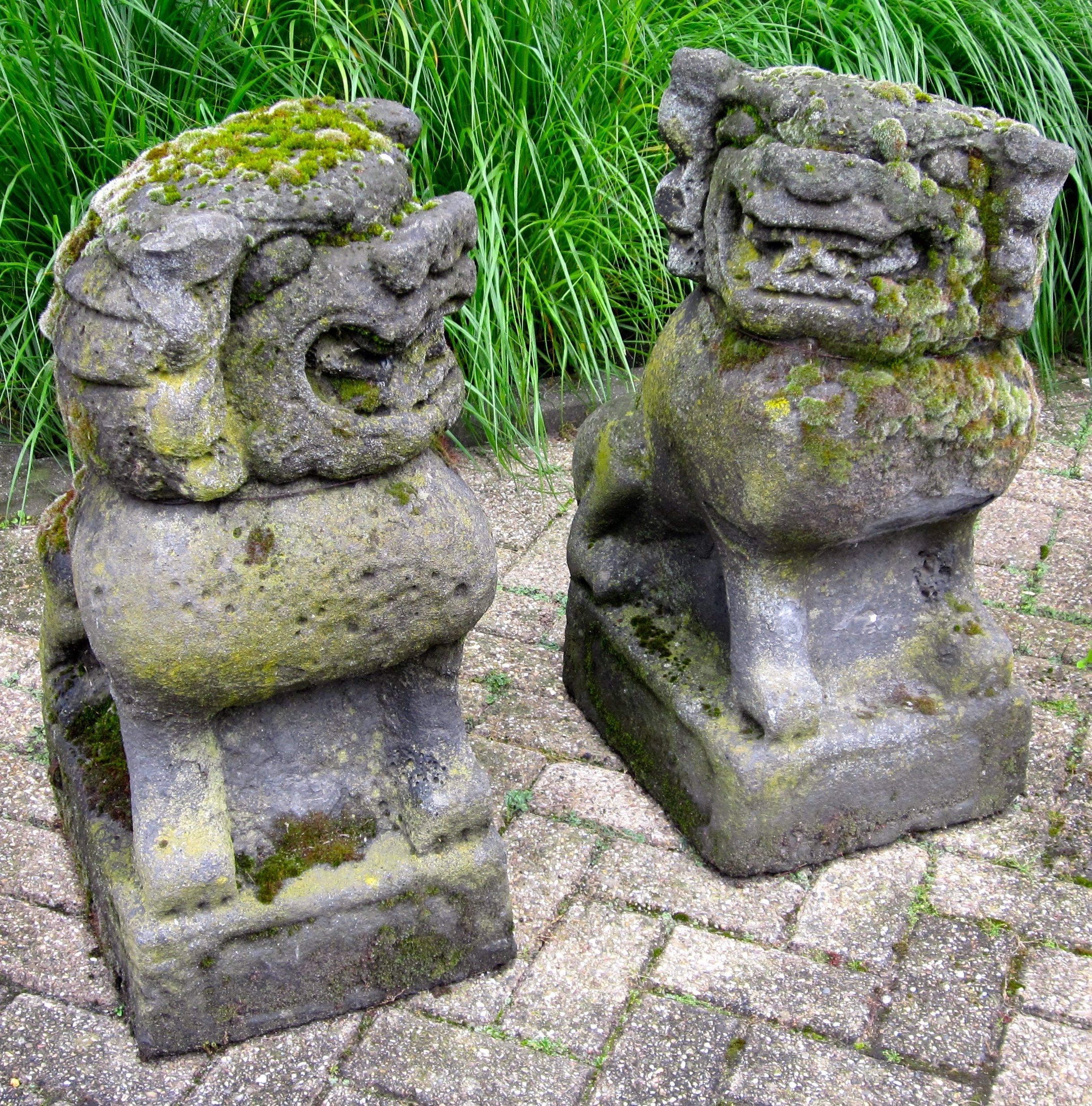 A pair of stone Chinese foo dogs from the 19th century.
Note the intricate carved details. Covered in moss and spores.
