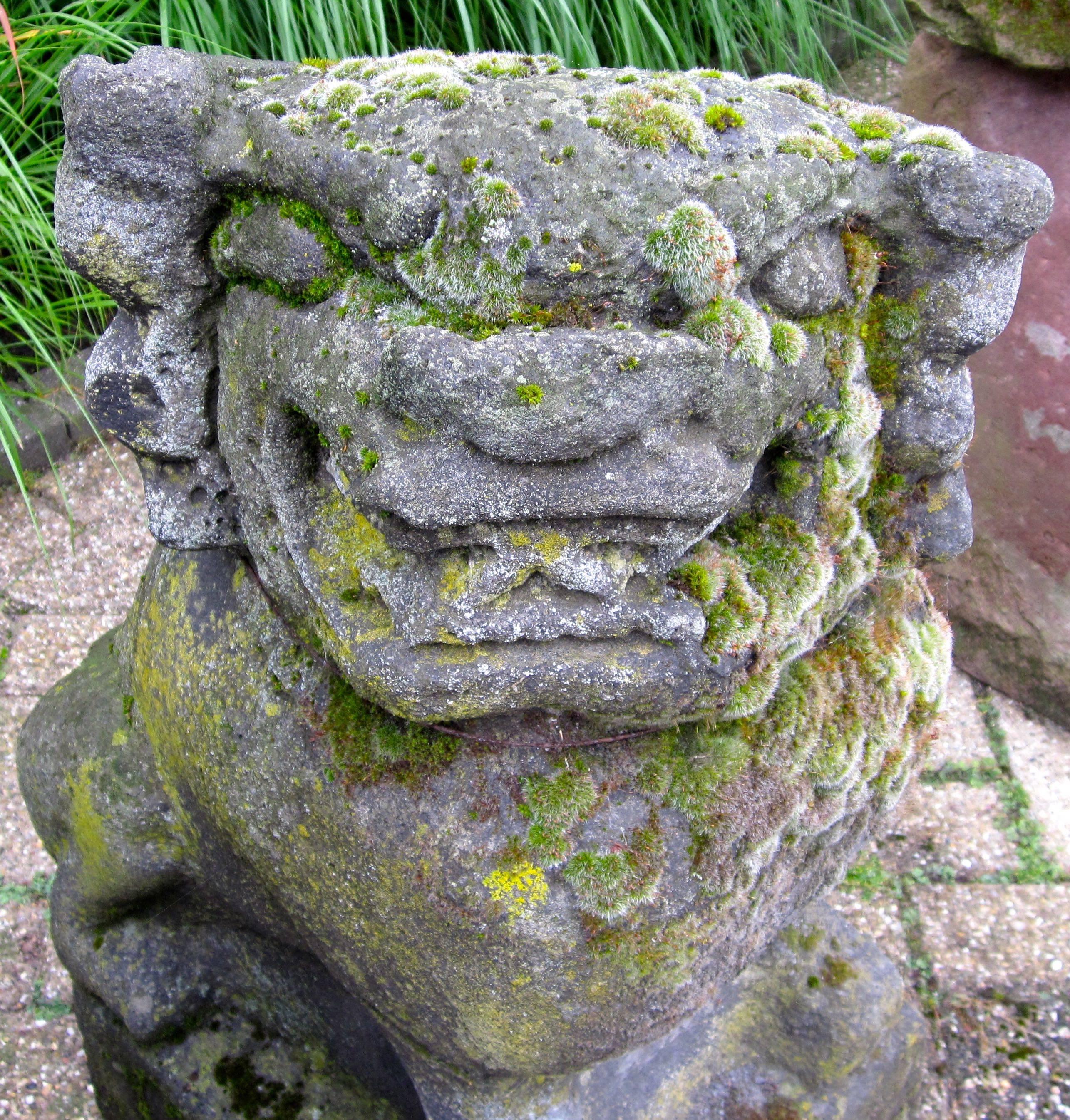 Pair of 19th Century Chinese Stone Foo Dogs 6