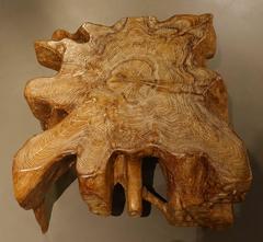 Teak Root Multi Leg Coffee Table, India, Contemporary