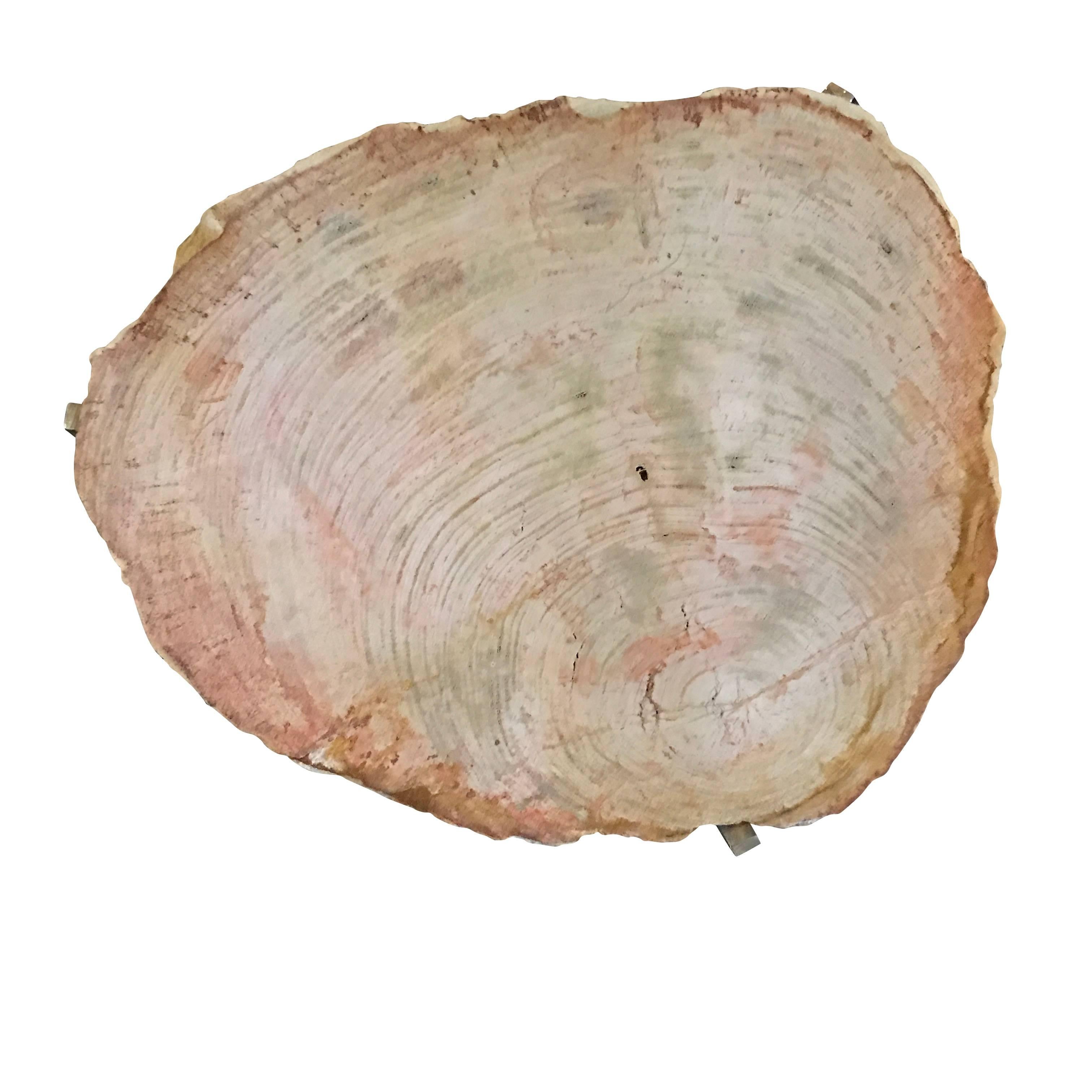 Contemporary Indonesian thin slice of petrified wood on polished nickel tripod leg base cocktail table.
Durable and easy to relocate.