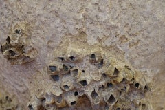 French Barnacle Vase, Contemporary