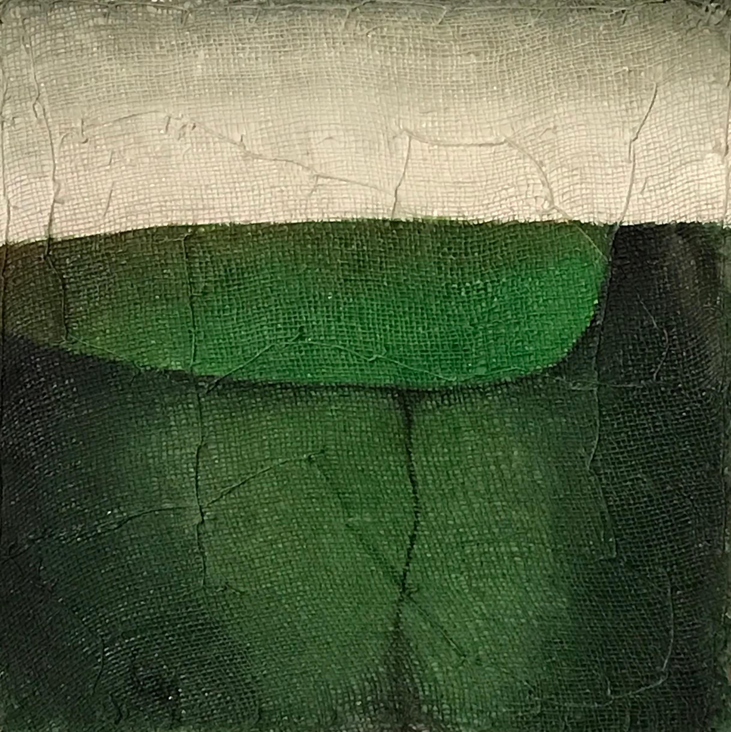 Contemporary abstract painting by Belgian artist Diane Petry.
The acrylic painting is in shades of green with white.
The artist creates her own three layer canvas using pima cotton, gauze and Fine paper.
Raw edges and applied threads add texture