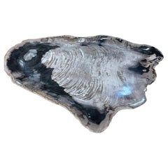 Black and Taupe Extra Large Petrified Wood Platter, Indonesia, Contemporary