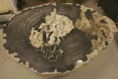 Petrified Wood Extra Large, Extra Thick Coffee Table, Indonesia, Contemporary