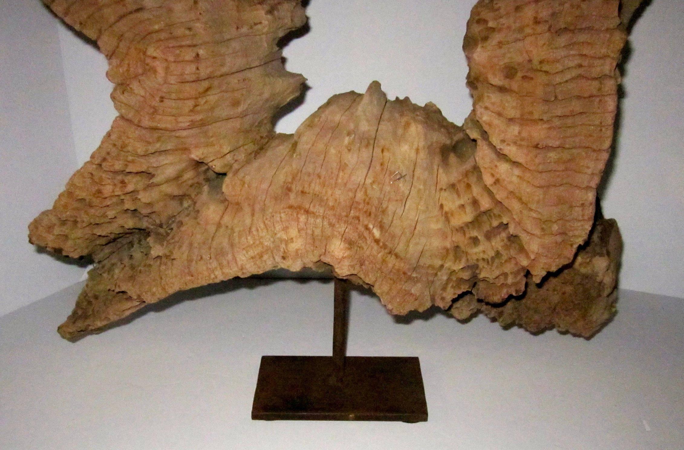 Abstract Wood Sculpture on Metal Stand, Indonesian 1