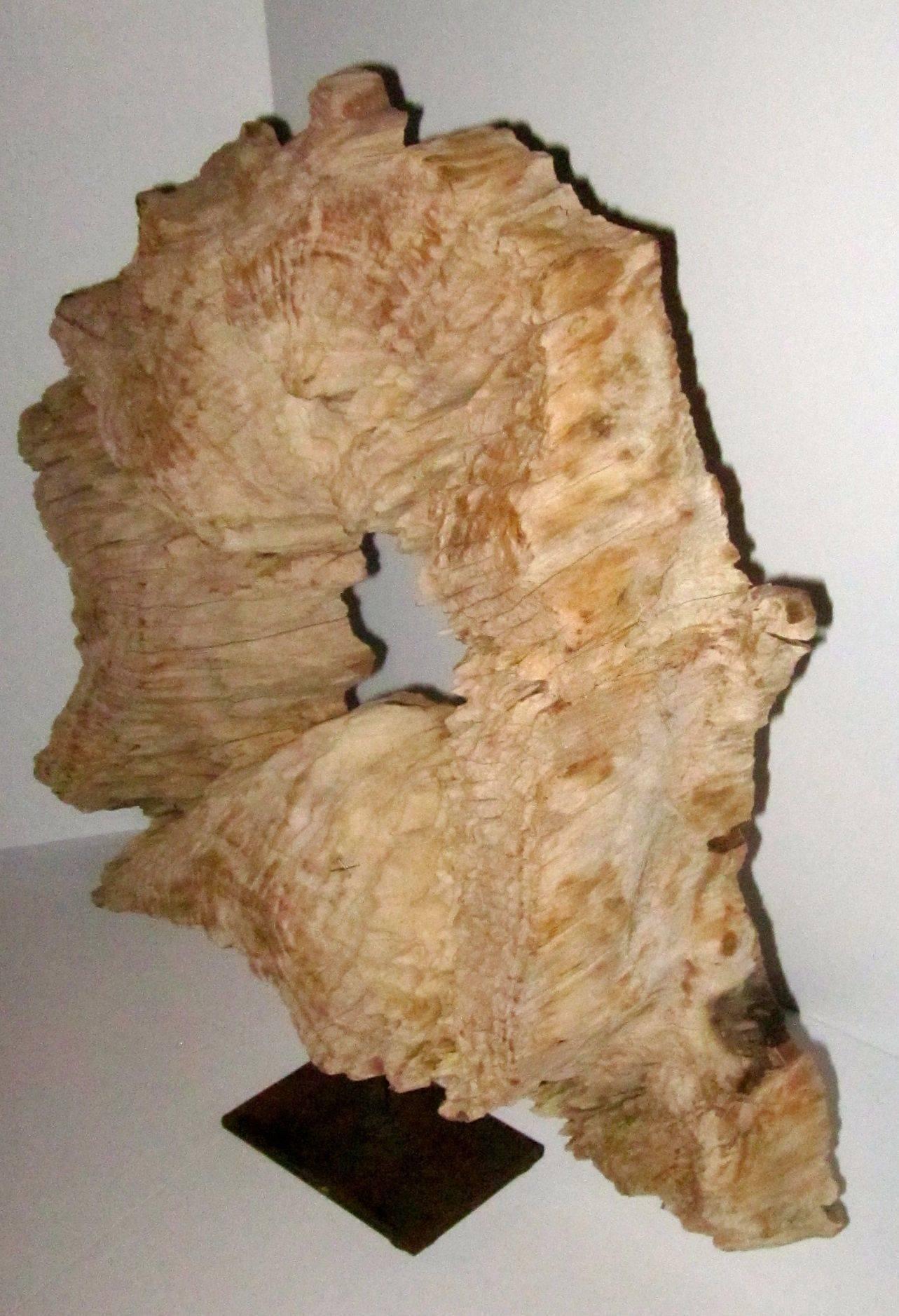 Abstract Wood Sculpture on Metal Stand, Indonesian 3