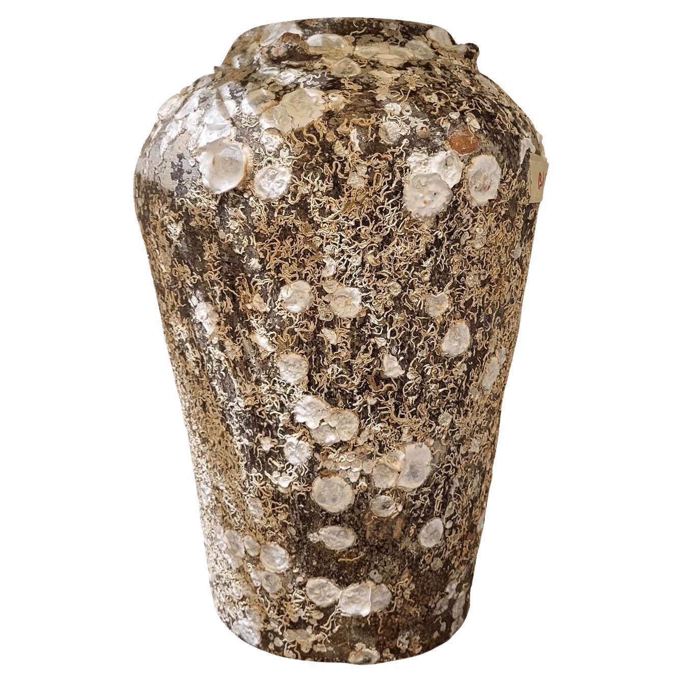 Vietnamesisches Schiffswrack aus dem 16. Jahrhundert mit ungewöhnlicher Form, Vietnam