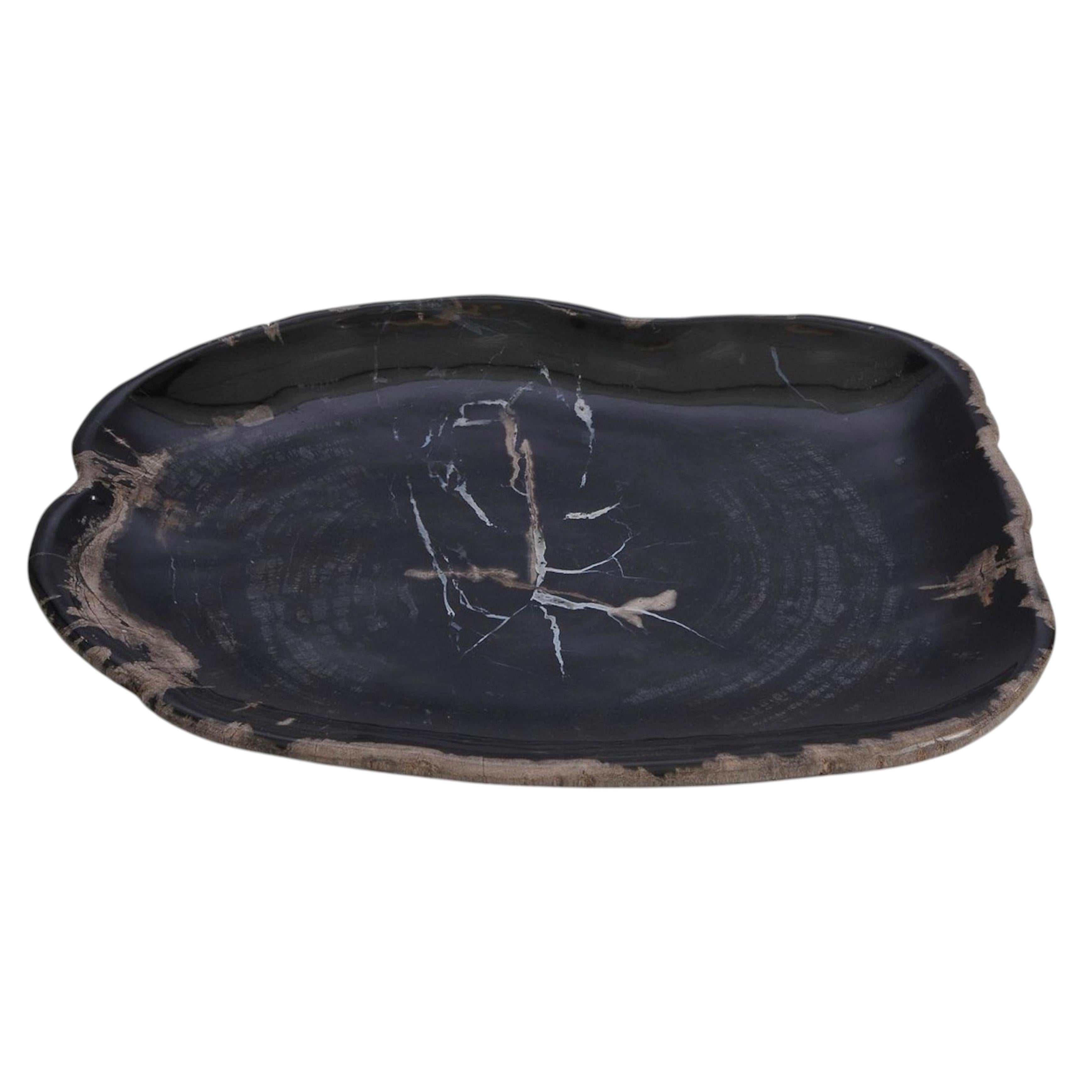 Black Petrified Wood Free Form Shape Plate, Indonesia, Contemporary