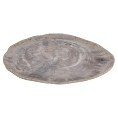 Vassoio extra large in legno pietrificato color taupe, Indonesia, contemporaneo