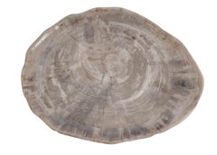 Vassoio extra large in legno pietrificato color taupe, Indonesia, contemporaneo