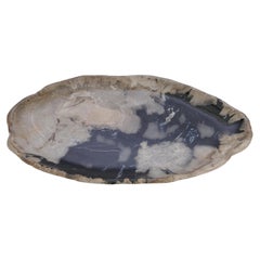 Taupe And Black Petrified Wood Large Plate, Indonesia, Contemporary