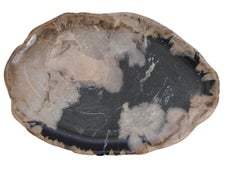 Taupe And Black Petrified Wood Large Plate, Indonesia, Contemporary