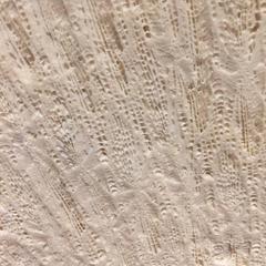 Prehistoric Mountain Coral Sculpture, Timor Island, South East Asia