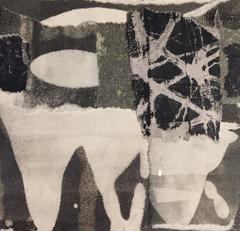 Contemporary Artist Sandra Constantine, United States