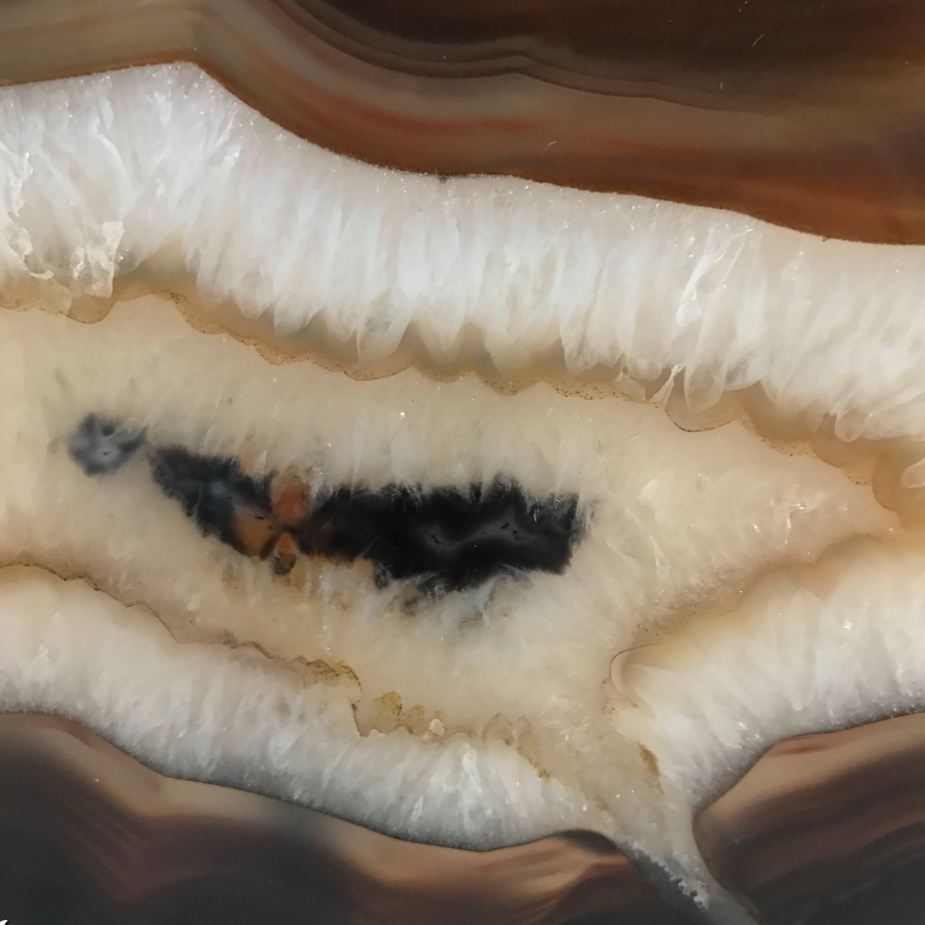 Prehistoric sliced agate on custom steel stand.
Brown and black border clear white center.
Transparent when in front of a light source.
Stand measures 5