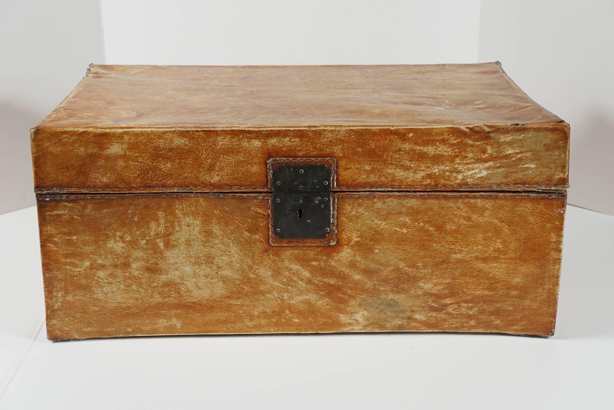 This lovely 19th-century small Chinese travel trunk is made from thin sheets of camphor wood covered in undercoated vanished pigskin. The trunk has gained a Fine old mellow sienna color due to age but still shows the light creamy color of the skin