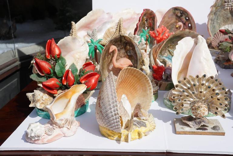 Collection of 30 Vintage Shell, Coral and Plastic Sea Side Souvenir