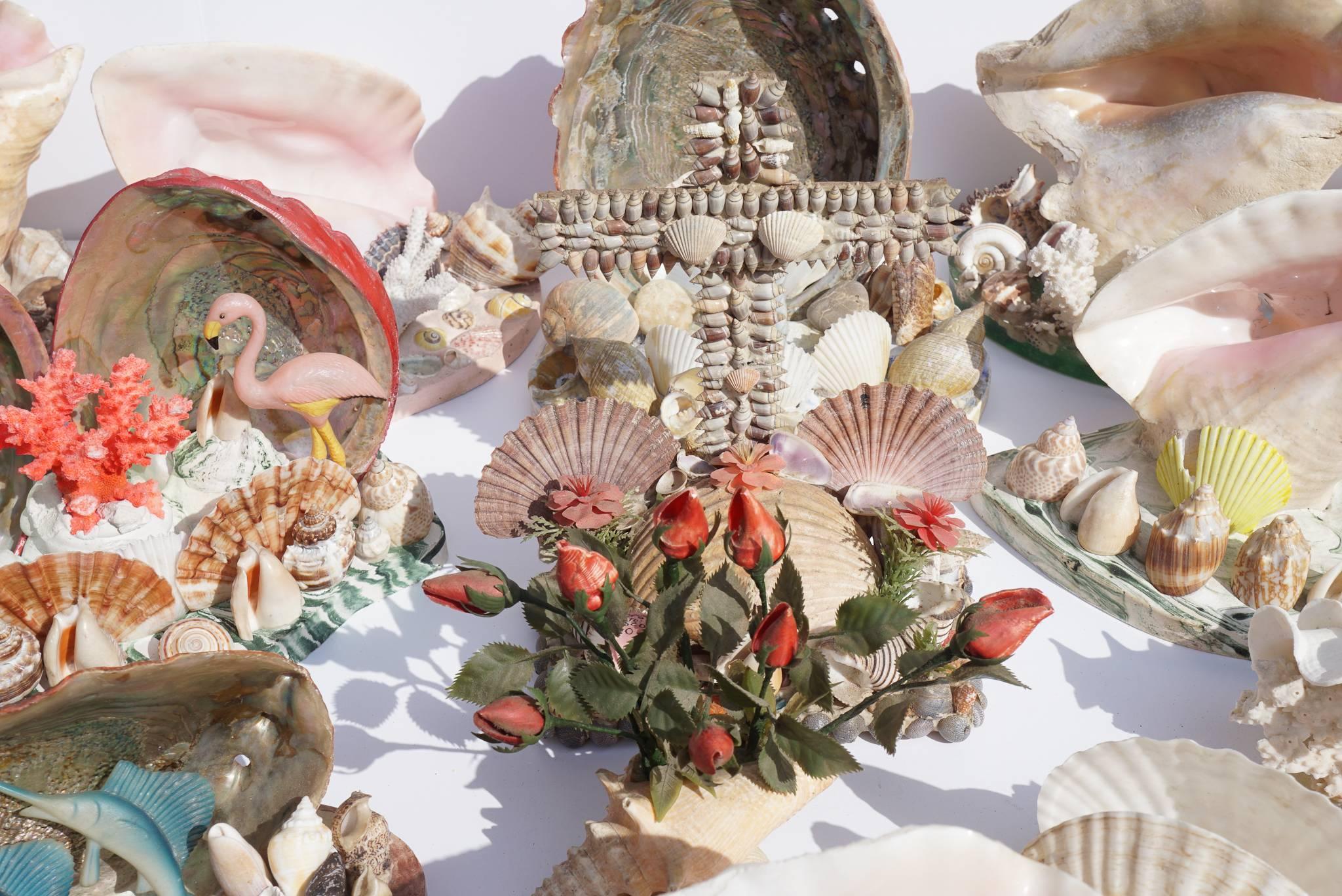 sea shell souvenirs