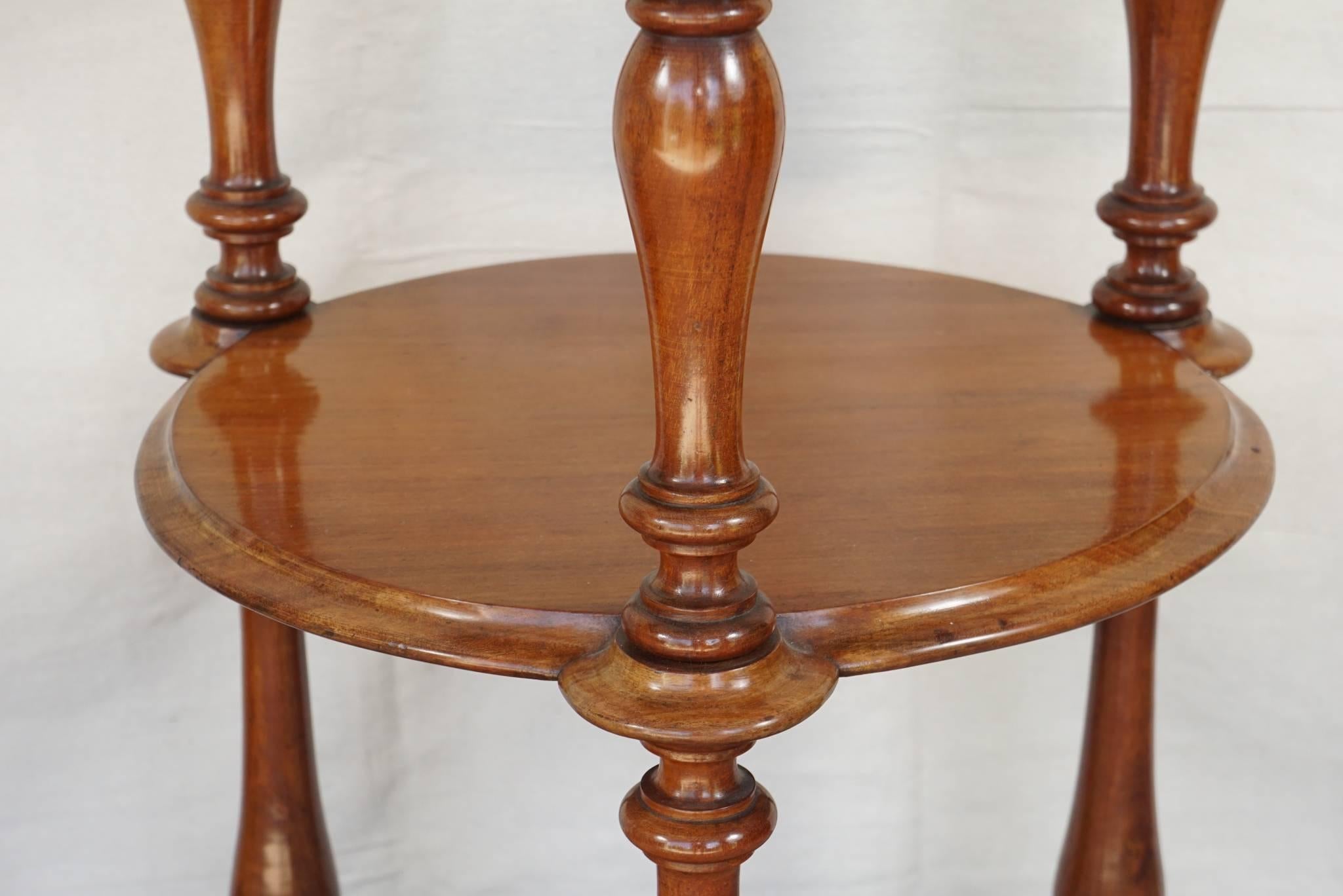Pair of 19th Century English Mahogany Early Victorian Étagère’s For Sale 3