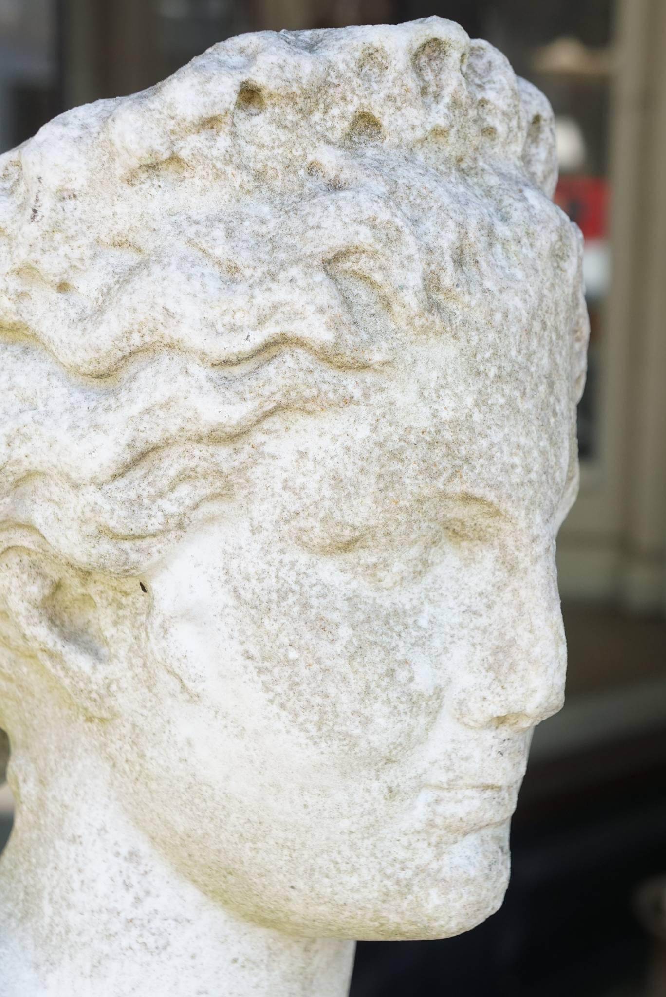 Italian 19th Century Carved Marble Bust after the Antique 1