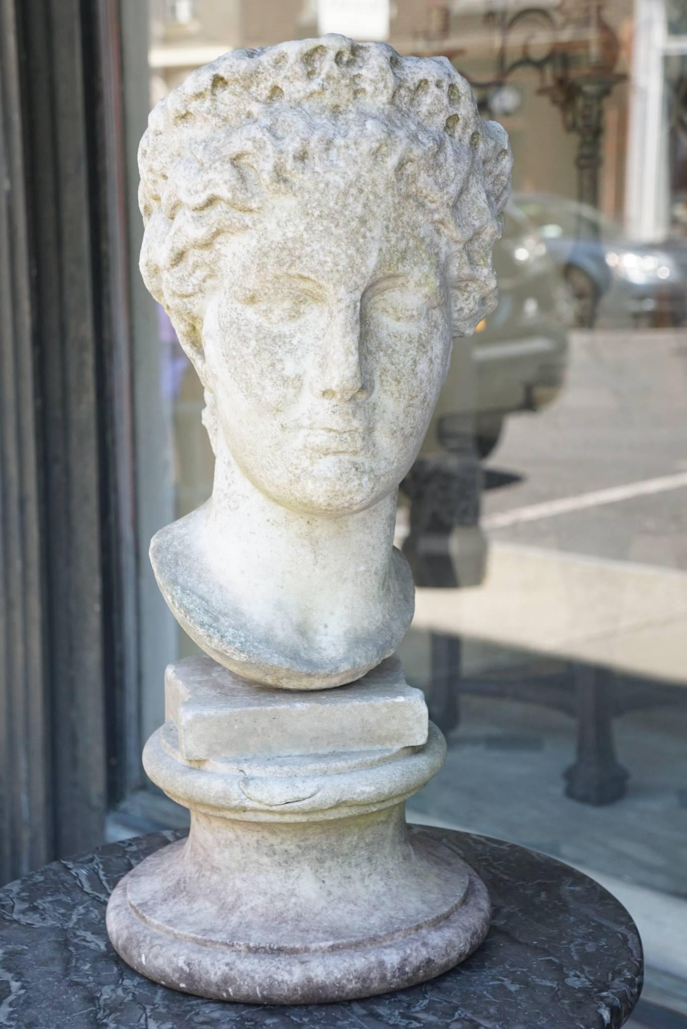 Italian 19th Century Carved Marble Bust after the Antique 3