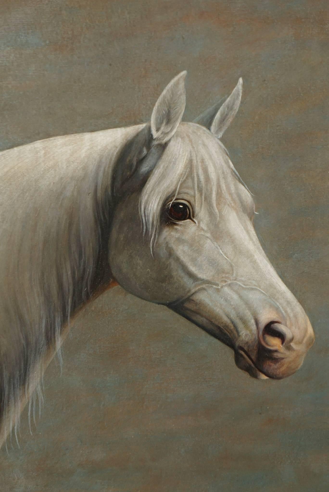 Sporting Art Arabian Racing Horse Portrait by Andreas Rutz