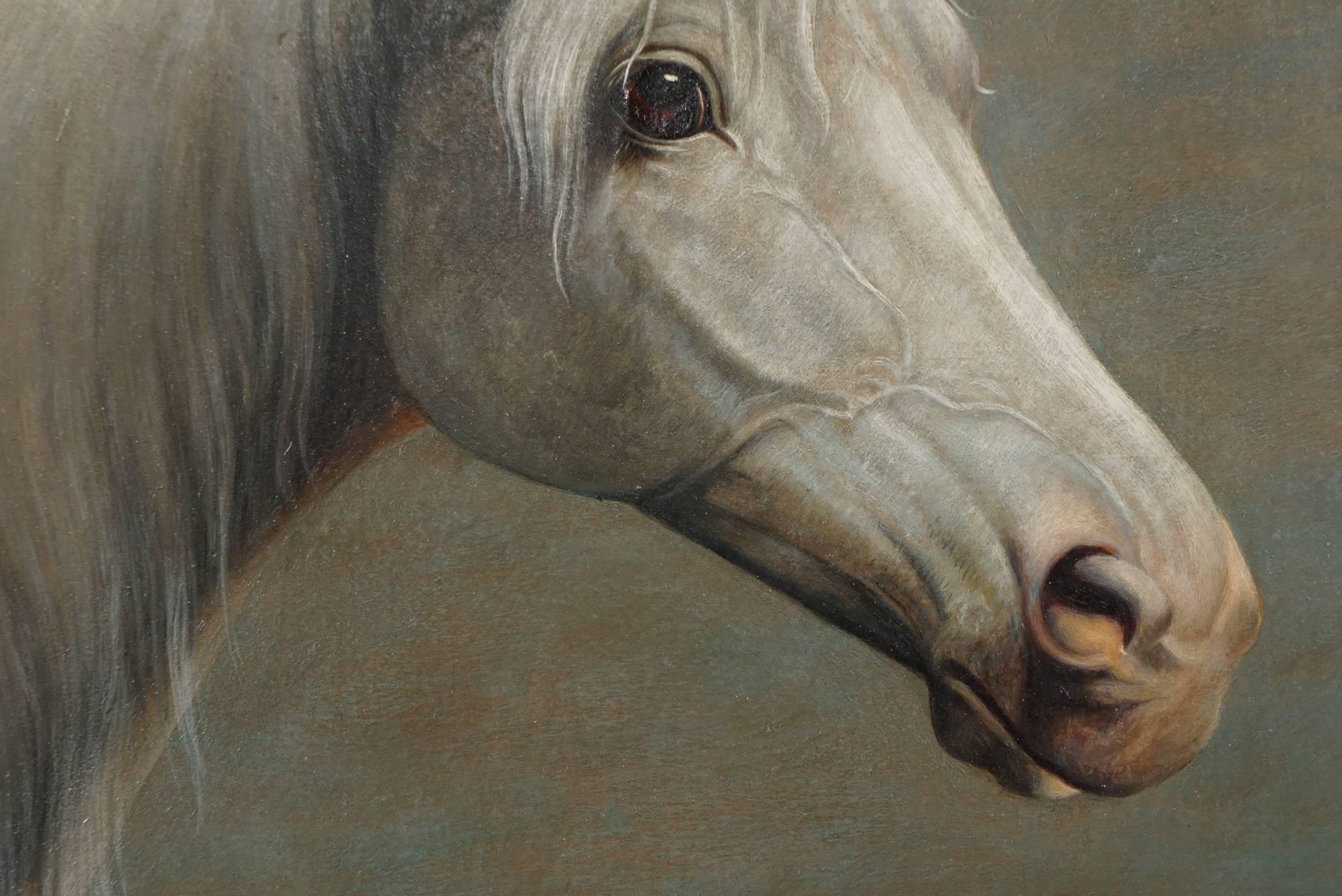 Arabian Racing Horse Portrait by Andreas Rutz 2