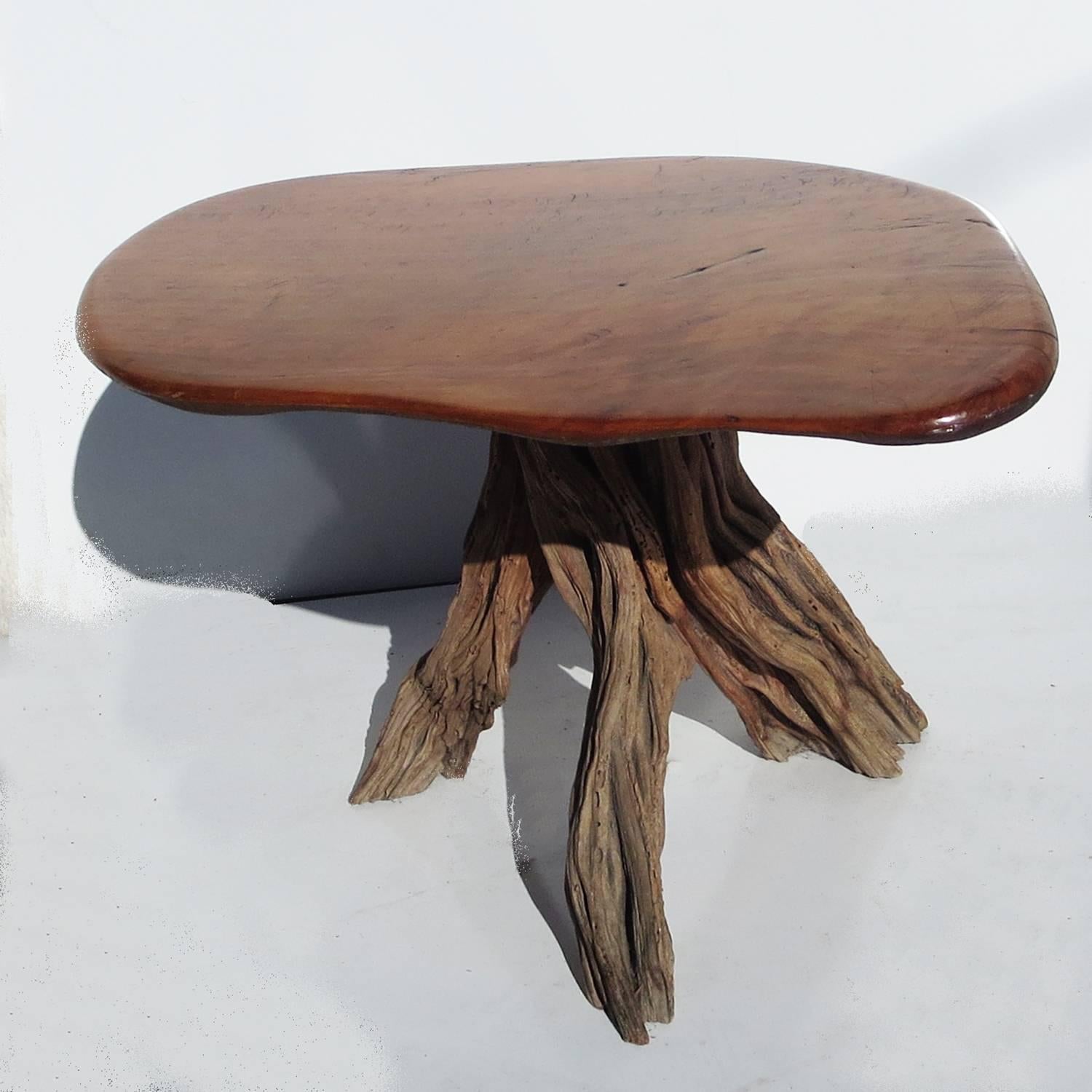 A lovely table from the 1960s, featuring a finished live edge burled top and unfinished stump base. The top is quite thick and solid and the table has substantial weight. Original finish displays well, with only a small burn in the center of the top.