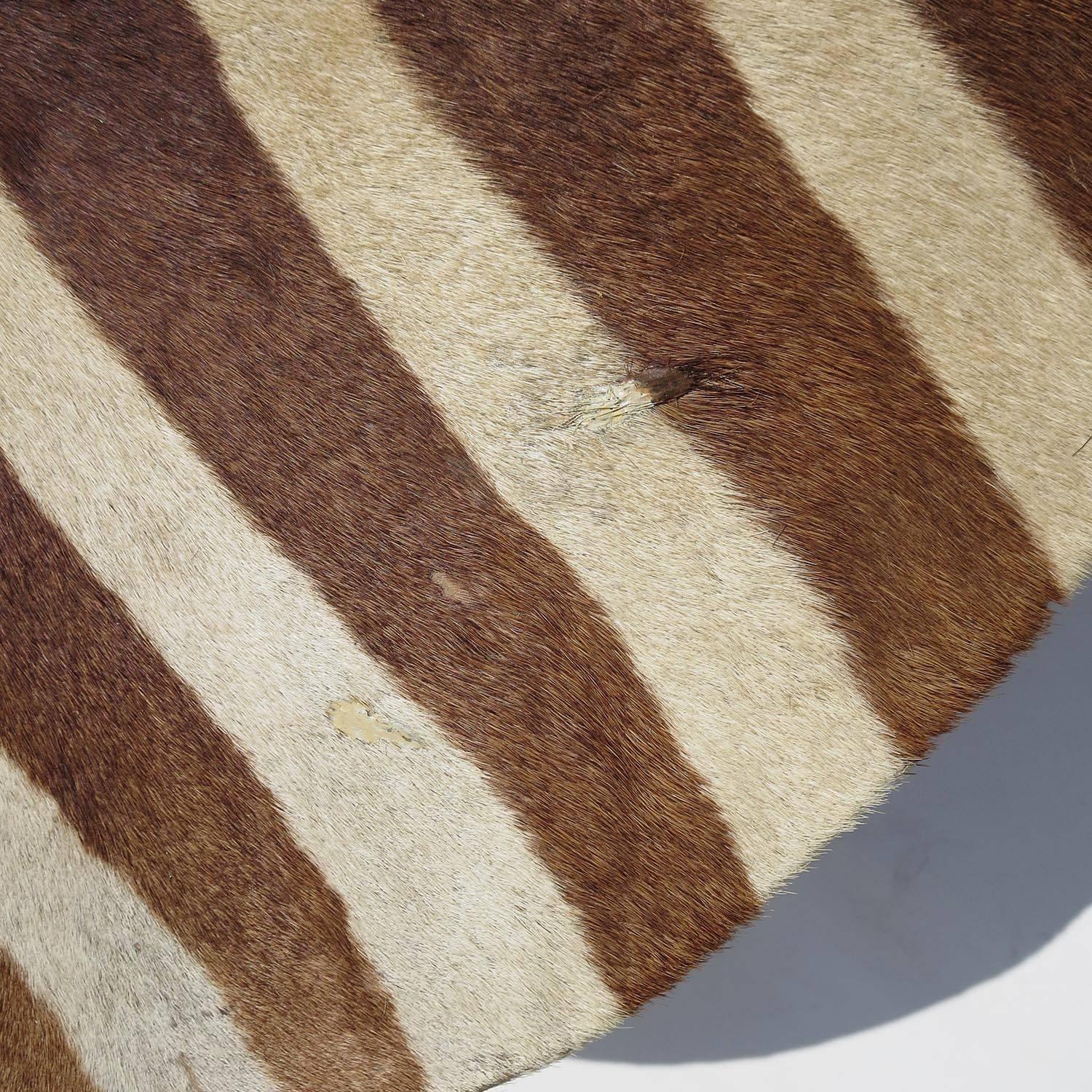 Primitive African Zebra Hide Drum Coffee or Side Table