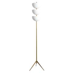 Fantasma Floor Lamp